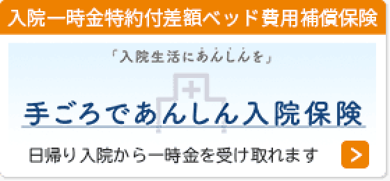 手ごろであんしん入院保険